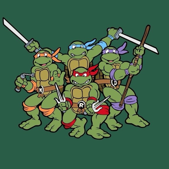Small Ninja Turtle - Picture 13 of 16